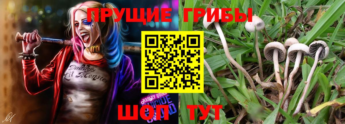 Псилоцибиновые грибы Psilocybe  Галлюциногенные грибы ЛСД  Вход с VPN  Черногорск 